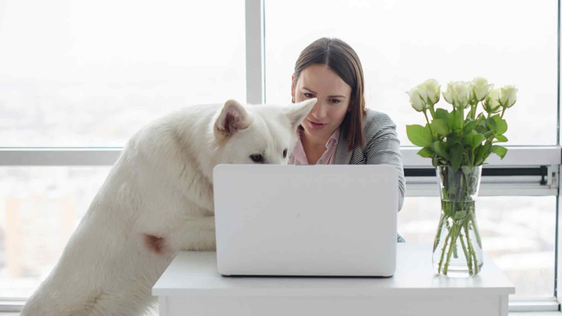 So meistert man die Top sechs sicherheitstechnischen Stolperfallen im Home-Office!