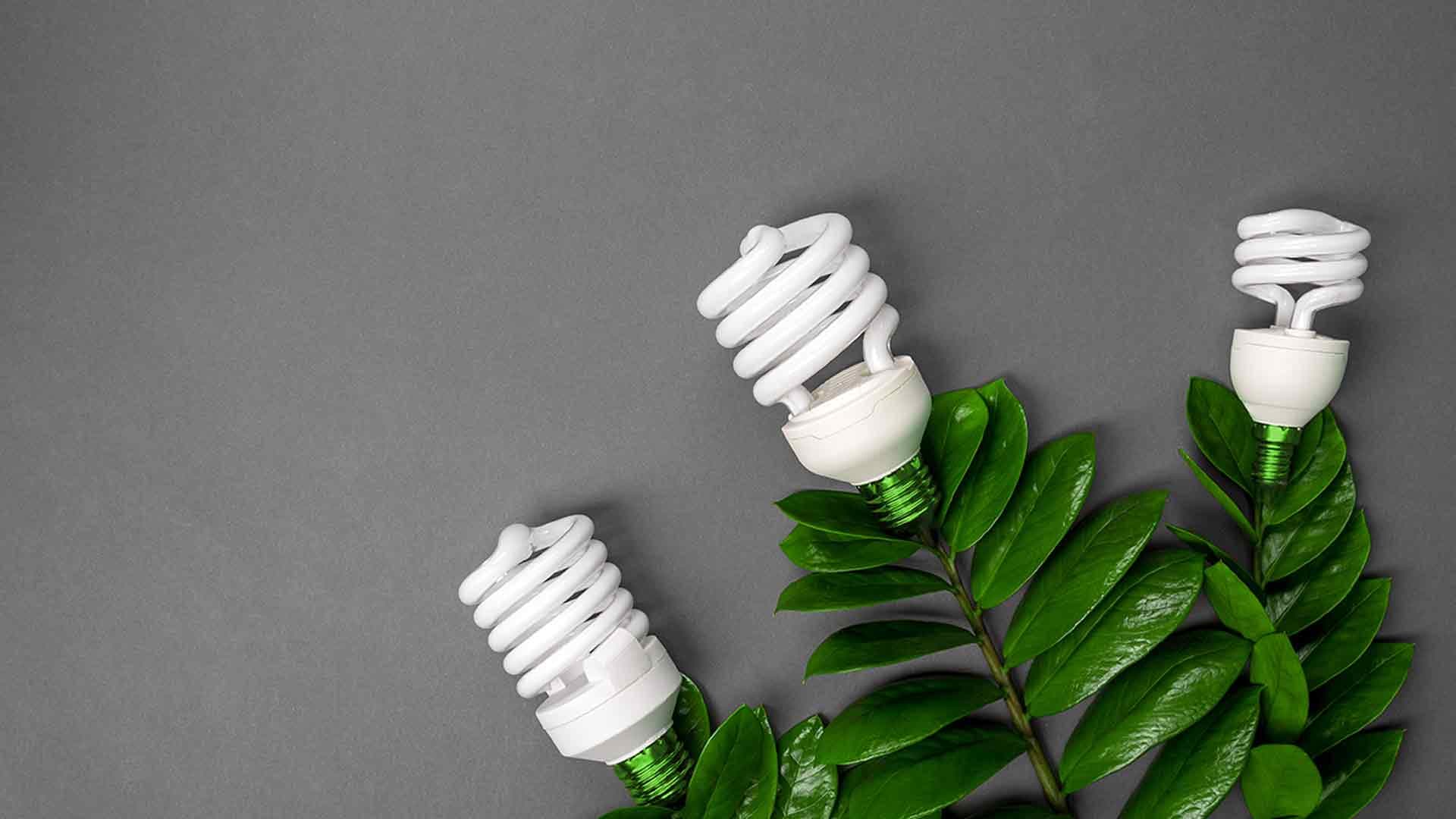 Neue Fördermöglichkeit für LED´s